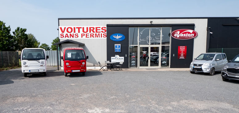 Entretien voiture sans permis Villemandeur