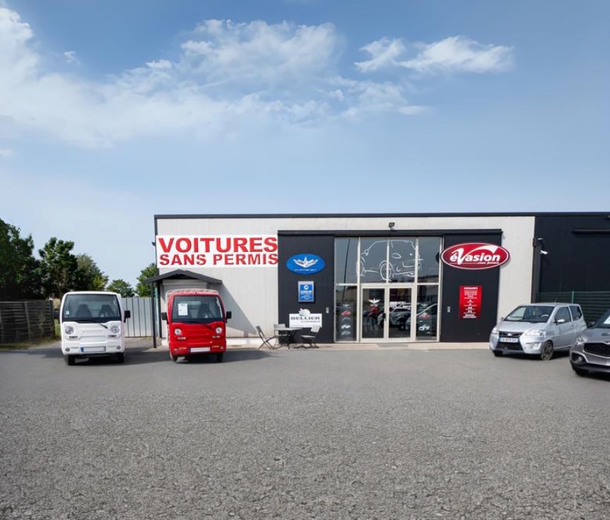 Entretien voiture sans permis Villemandeur